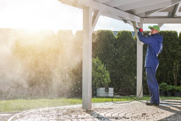 Best Solar Panel Cleaning  in South Hutchinson, KS